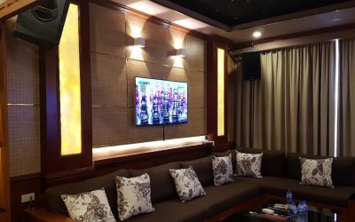 VIP Karaoke in Private Home